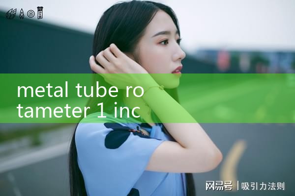 metal tube rotameter 1 inch|turbine flow meter