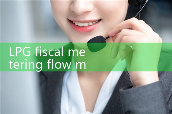 LPG fiscal metering flow meter|digital flow meter