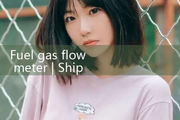 fuel gas flow meter|digital flow meter