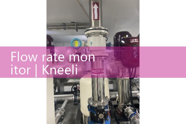 flow rate monitor
