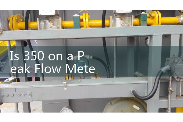 Is 350 on a Peak Flow Meter Good: Understanding How Height, Age, and Demographics Influence Normal Ranges
