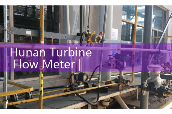 Hunan turbine flowmeter
