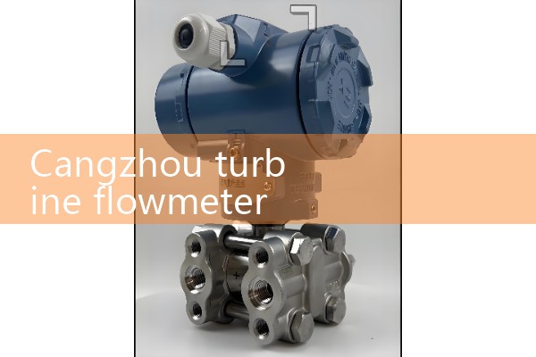 Cangzhou turbine flowmeter
