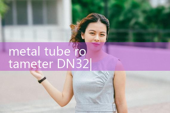 metal tube rotameter DN32|turbine flow meter