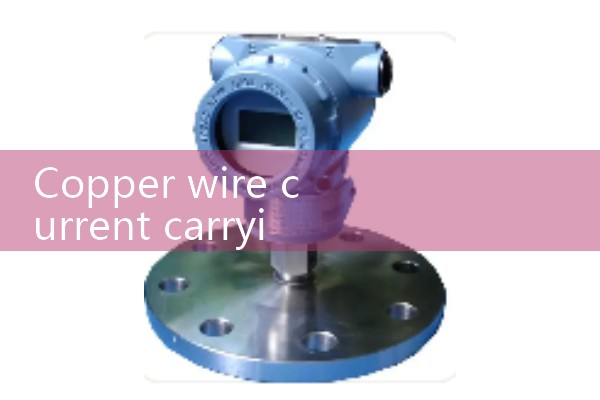 positive displacement meter