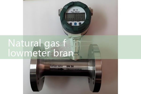 Natural gas flowmeter brand