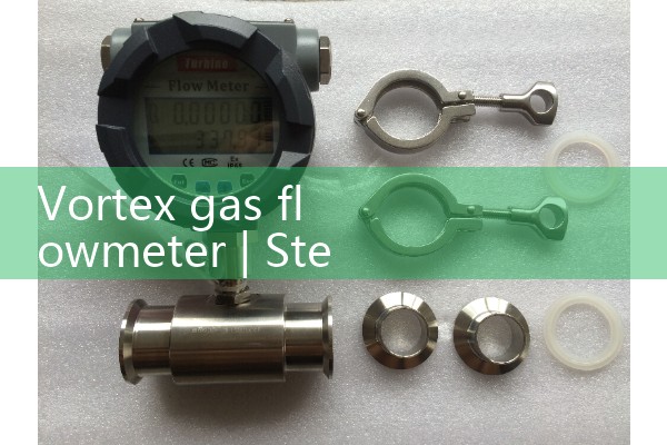 Vortex gas flowmeter