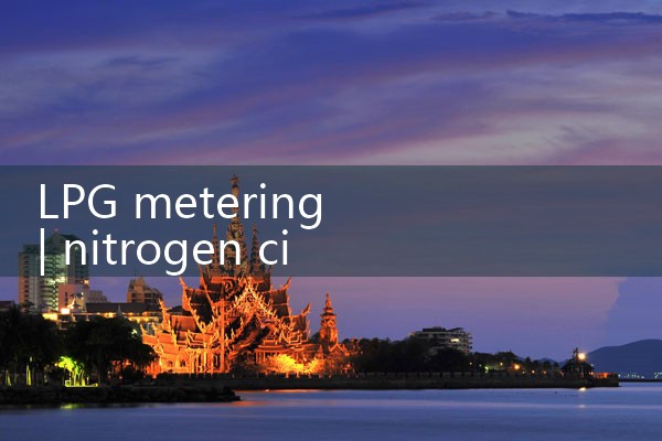 LPG metering|digital flow meter