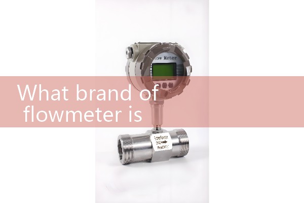 Industrial flow meter