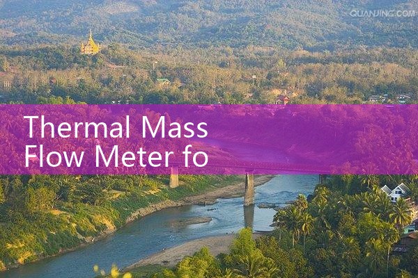 thermal mass flow meter for food industry|turbine flow meter