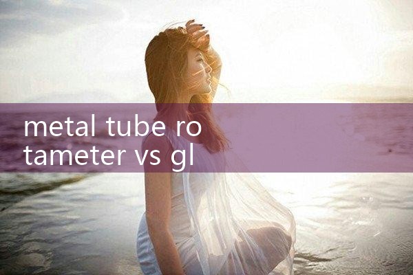 metal tube rotameter vs glass tube rotameter|turbine flow meter