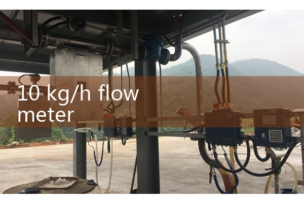 10 kg/h flow meter