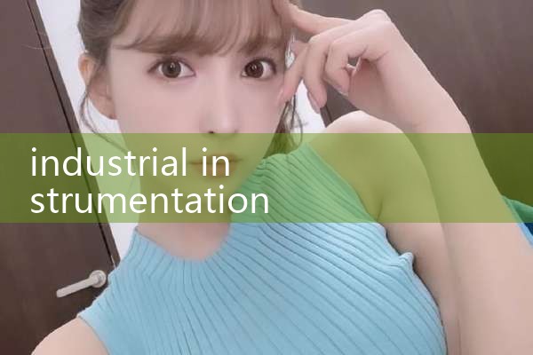 industrial instrumentation|clamp on meter