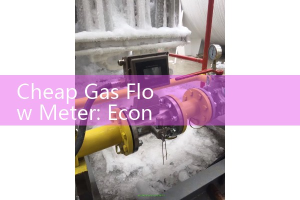 Cheap Gas Flow Meter: Economy Variable Area Rotameter Sizing Solutions