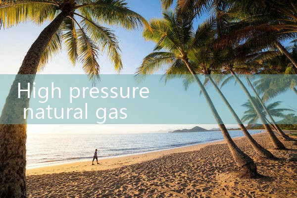 high pressure natural gas flow meter|digital flow meter