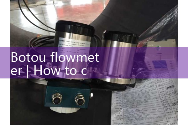 Botou flowmeter