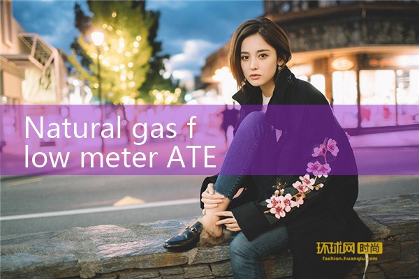 natural gas flow meter ATEX|digital flow meter