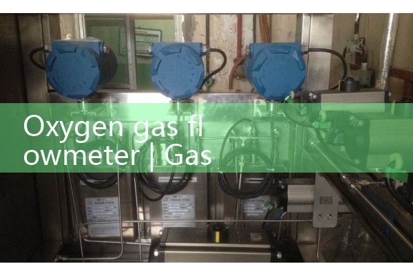 Oxygen gas flowmeter