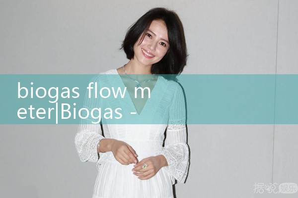 biogas flow meter|digital flow meter