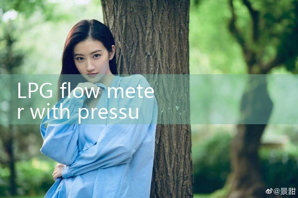 LPG transfer pump flow meter|digital flow meter