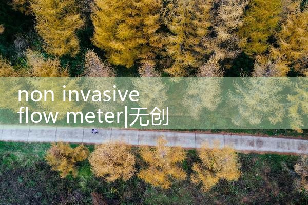 non invasive flow meter|clamp on meter