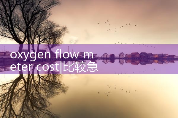 oxygen flow meter cost|clamp on meter