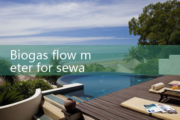 biogas flow meter for sewage treatment plant|digital flow meter
