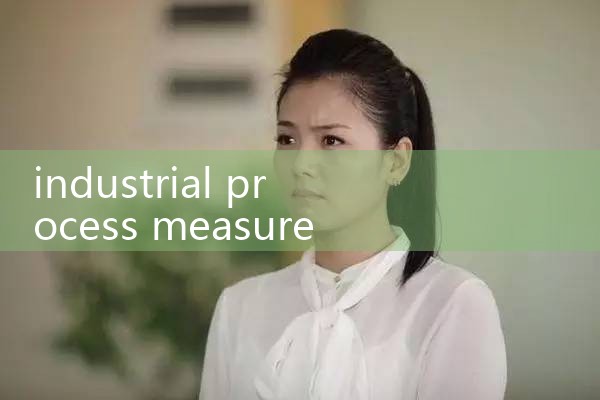 industrial process measurement|clamp on meter