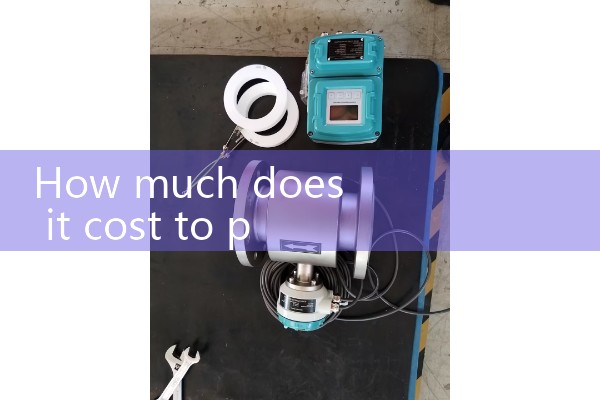 Purchase electromagnetic flowmeter