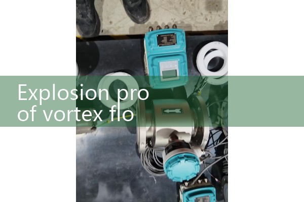 Explosion proof vortex flowmeter