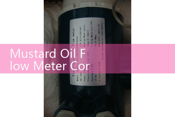 Mustard Oil Flow Meter Corrosive Vapor Enclosure Options