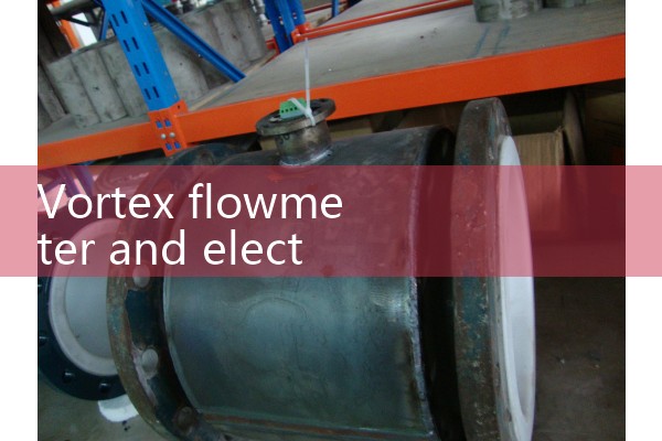 Vortex and electromagnetic flow meters
