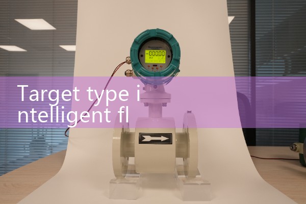 Target based intelligent flowmeter