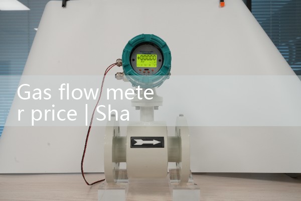 gas flow meter price