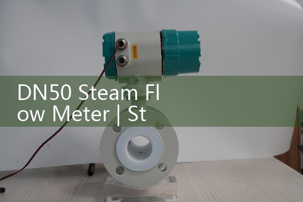 DN50 steam flowmeter