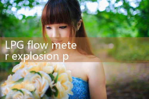 LPG flow meter explosion proof|digital flow meter