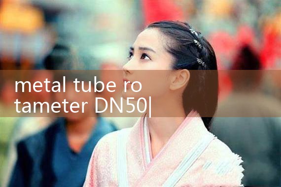 metal tube rotameter DN50|turbine flow meter