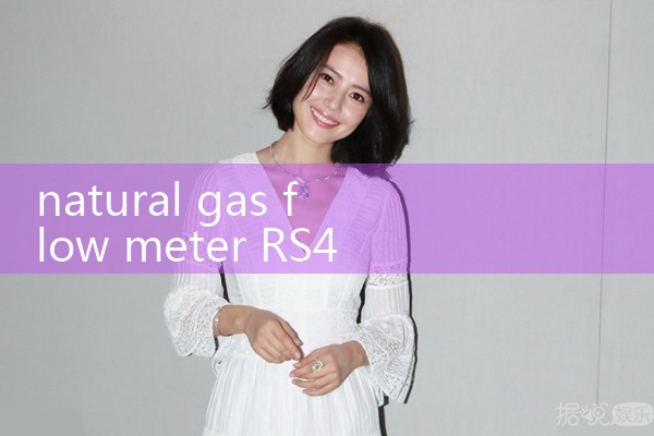 natural gas flow meter RS485|digital flow meter