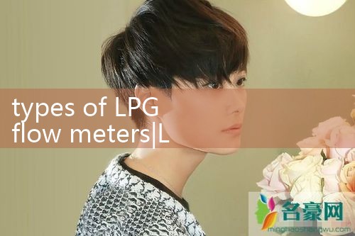 types of LPG flow meters|digital flow meter