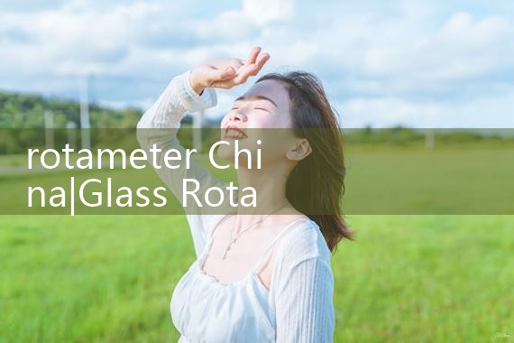 rotameter China|turbine flow meter