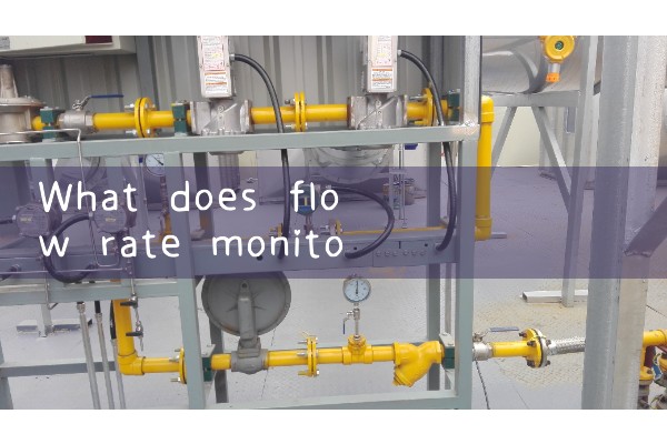 flow rate monitor|heat flow meter