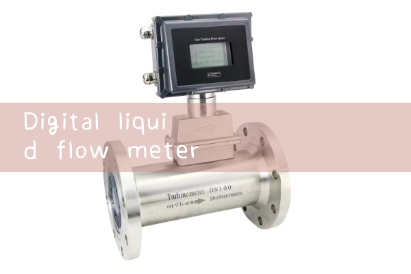 digital liquid flow meter|water flow meter