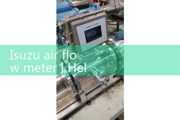 Isuzu air flow meter