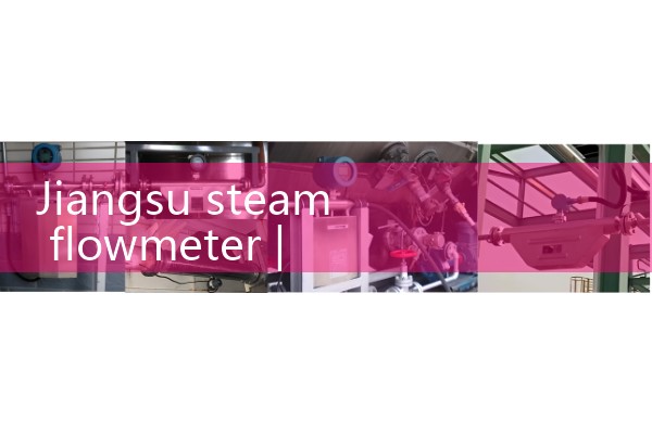 Jiangsu steam flowmeter
