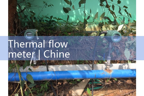 thermal flow meter