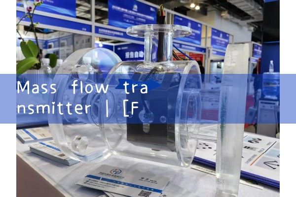 mass flow transmitter|heat flow meter