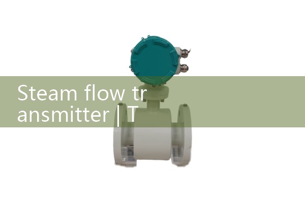 steam flow transmitter|magnetic flow meter