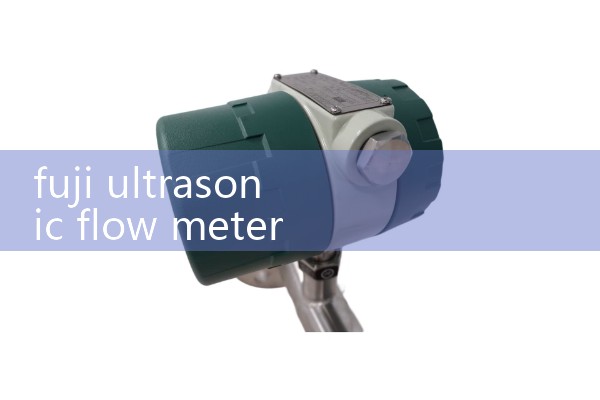 fuji ultrasonic flow meter|gas flow meter