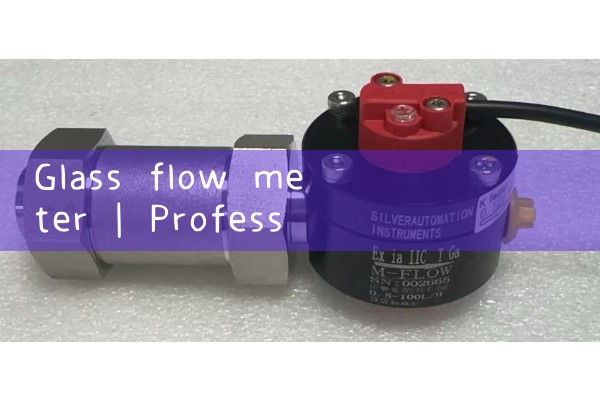 glass flow meter|gas flow meter