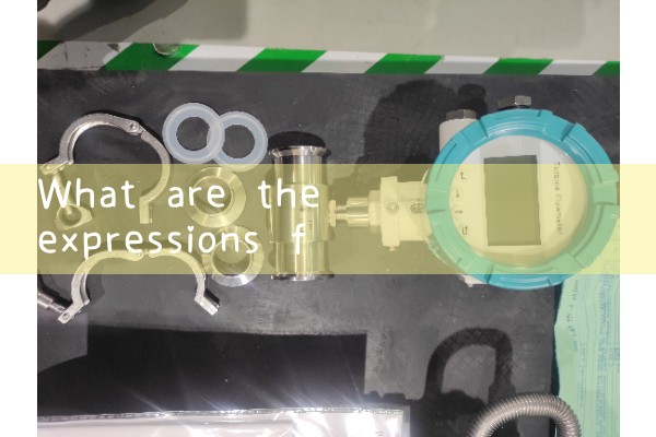 meter oil|magnetic flow meter